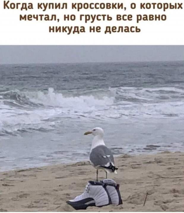 Юмор в картинках и без