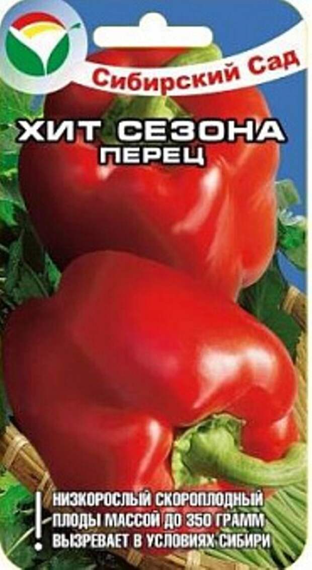 Даже свекровь удивляется моим перцам. Какие сорта мои фавориты?