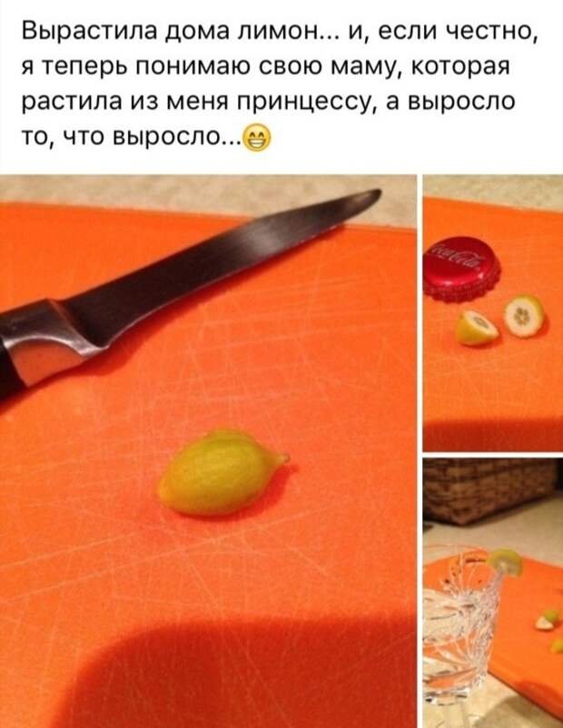 Жизненно. Жизненно.