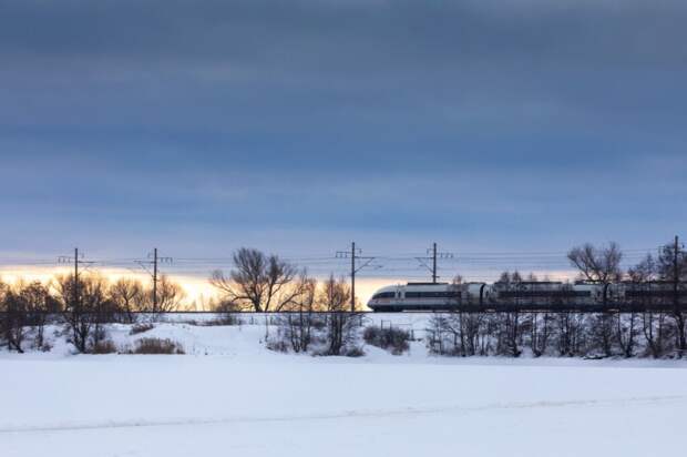 В облцентре проведут обкатку «Сапсана»
