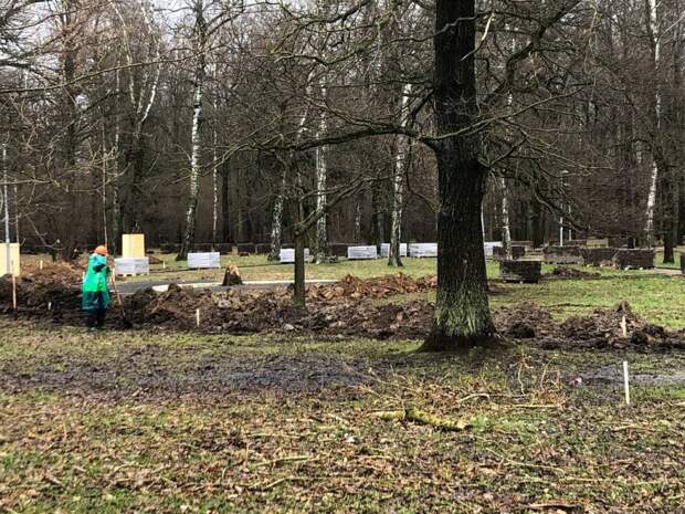 Фотокадр: начало благоустройства в лесопарке «Северный»