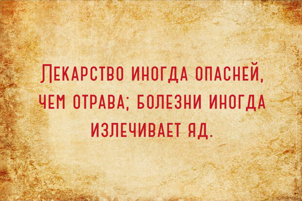 19 мудрых персидских пословиц, которые помогут перейти поле под названием «жизнь»