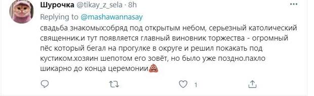 Свадебные истории: смех сквозь слезы Свадебные истории: смех сквозь слезы