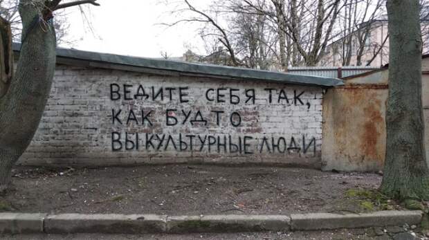 Подборка картинок. Дневной выпуск (30 фото)