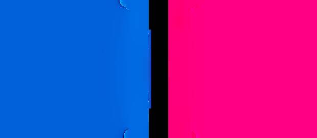 Flickr Logo