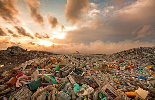 Севастопольский мусорный ринг