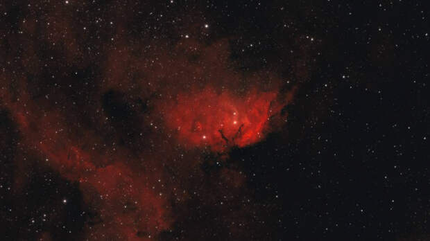 «Роскосмос» показал фотографии «космических цветов» к 8 Марта