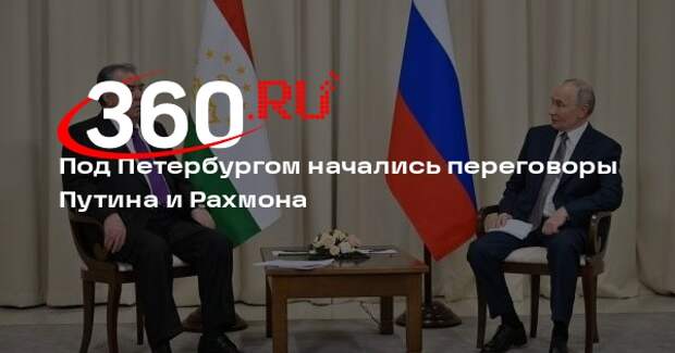 Двусторонние переговоры Путина и Рахмона начались в Ленинградской области