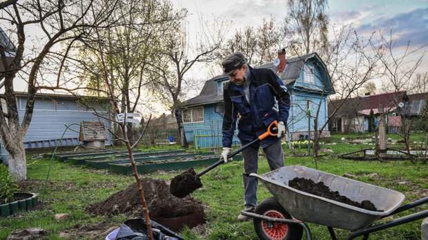 В России предложили ввести меры поддержки для садоводов
