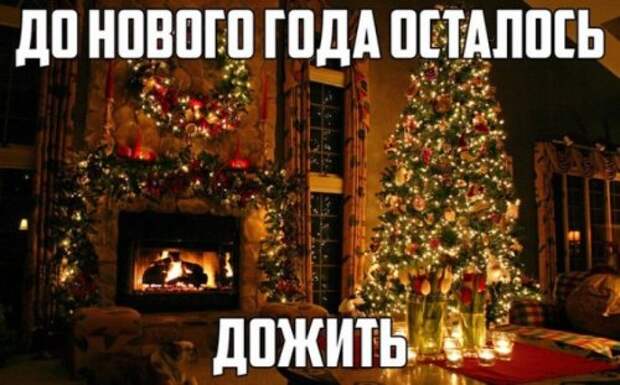 Анекдоты-новинки (11 шт)