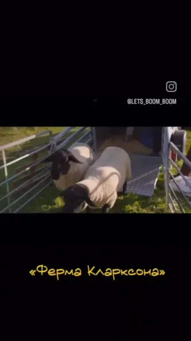 Кадр из шоу