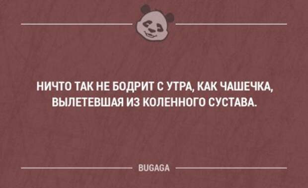 Прикольные фразы в картинках с надписями. Часть 61 (17 шт)