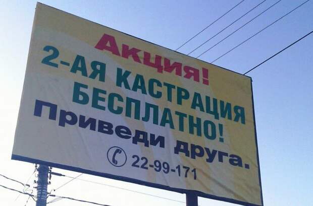 Смешная реклама – пример ветклиники Смешная реклама – пример ветклиники