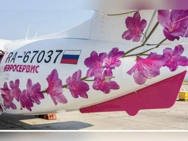 Минтранс отложил ввод новых правил безопасности в малых аэропортах, из-за которых в Забайкалье приостановили полёты