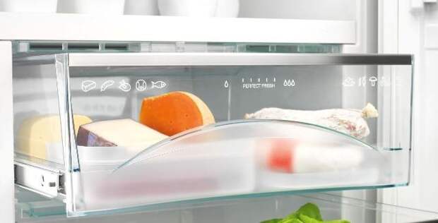 Как хранить молоко и молочные продукты