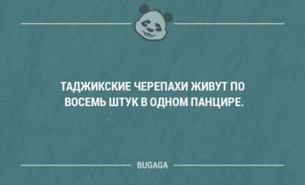 Прикольные фразы в картинках с надписями. Часть 61 (17 шт)