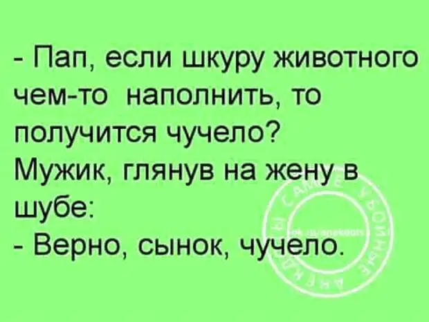 Дураки и деньги быстро расстаются. Разъехался быстрее. Бугага приколы. Разъехайся быстрее. Едь езжай поезжай.
