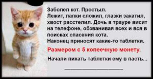 История о том, как кот заболел и о его выздоровлении