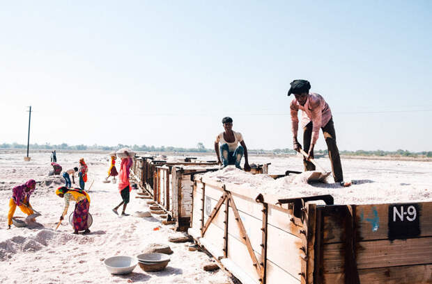 Работа сборщиков соли в Индии в фотографиях