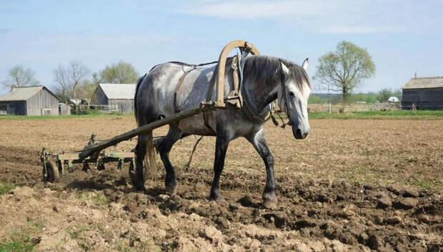 "Эвелина, можете работать хоть 24 часа": В Сети жёстко ответили актрисе Блёданс, которая поддержала шестидневку