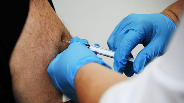 Вакцина от аллергии на пыльцу березы поступит в продажу в 2027 году