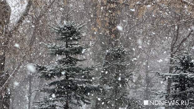 В выходные на Урале снова пойдет снег