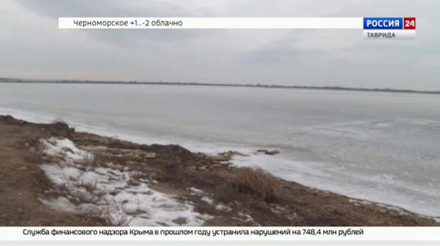 Обширное ледяное поле обнаружили у берегов Крыма