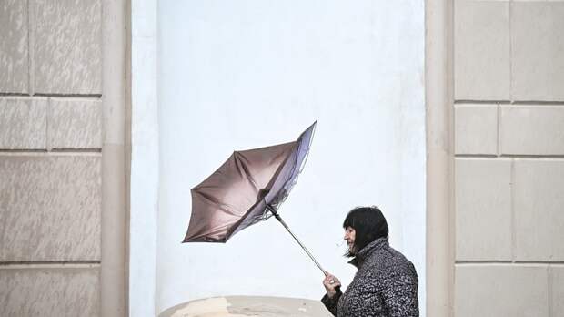 Синоптик Варакин назвал кратковременным похолодание в Москве