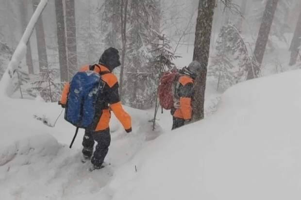 Прошлое настигло: в Красноярске выдвинули версию пропажи Потаенкова в тайге