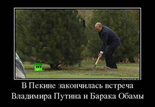 Самые прикольные картинки