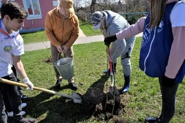 В Рассказовском районе высадили сиреневую аллею