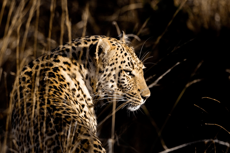 Фото © Keri Fisher