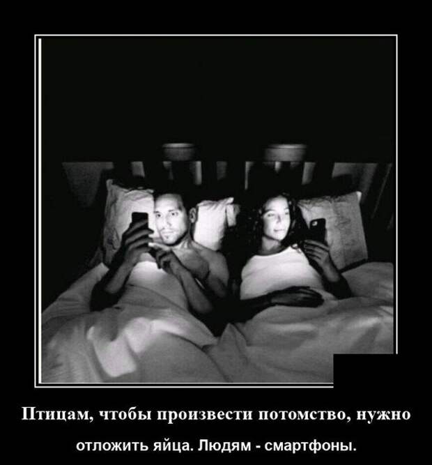 Демотиватор про потомство