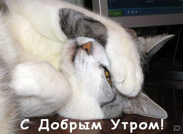 Давайте улыбаться вместе :)