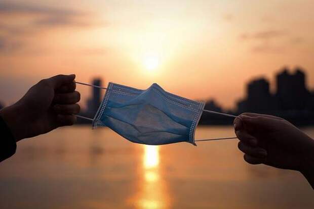 Вирус Нипах может быть завезён в Россию туристами или гастарбайтерами