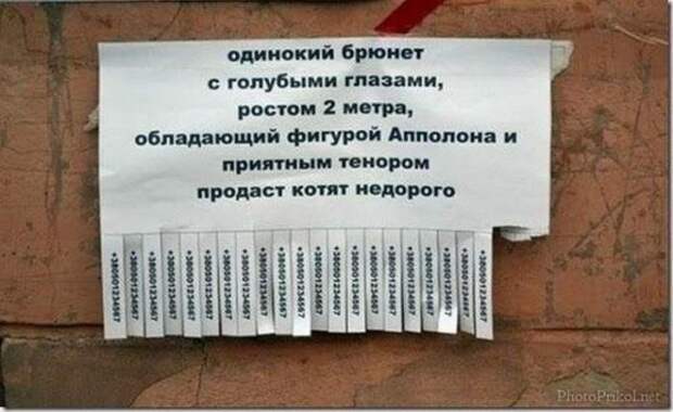 Очередная подборка смешных надписей и объявлений