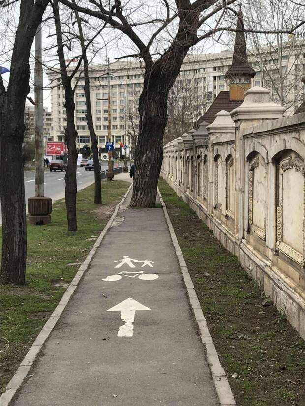 Подборка прикольных картинок