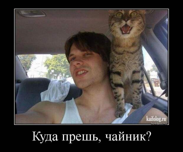 Демотиваторы на авто тему (45 демок)