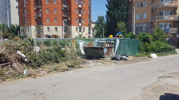 В центре Астрахани дохлая собака отравляет округу