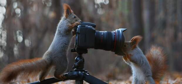 Лучшие фотографии ноября лучшие, фотографии