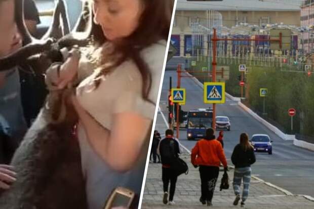 В Норильске северный олень проехался в автобусе