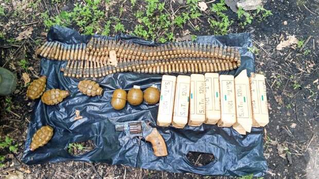 Схрон с оружием и боеприпасами нашли в лесополосе в Луганске