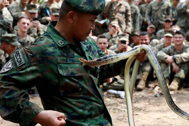 Морские пехотинцы США на учениях Cobra Gold