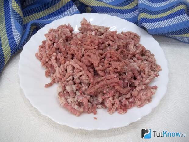 Мясо перекручено в фарш Мясо перекручено в фарш
