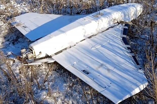 БПЛА «Гербера» стал доставлять в тыл к врагу FPV-дроны