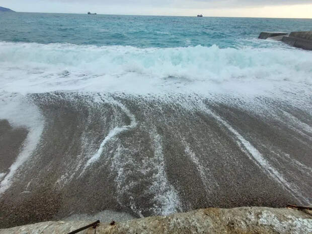 Раковины с глазами выдры: шторм выбросил на пляж жутких морских существ