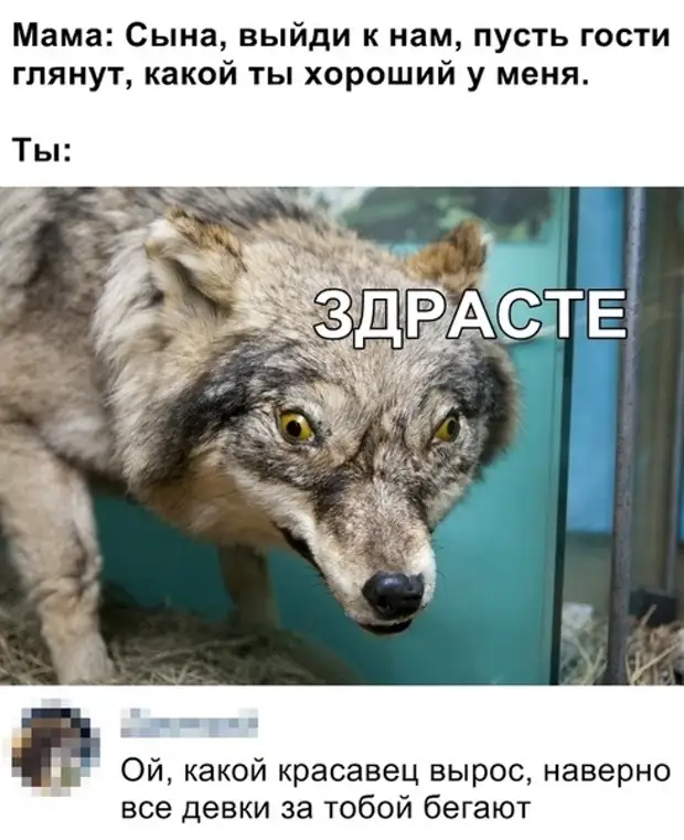 В нашей семье по утрам зарядкой занимается только мобильник субботу, утром, знаком, видела, сегодня, Сидят, еврейская, столовой, обычно, котлеты, макаронами, оливье, компот, почему, маленькиеСамолет, порции, очень, новой, прерывает, разбег