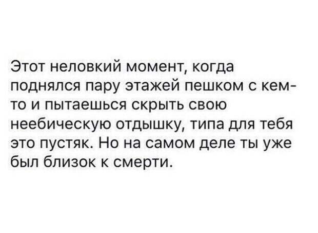 На Новый Год надейся, а сам наливай! открытки, приколы, юмор