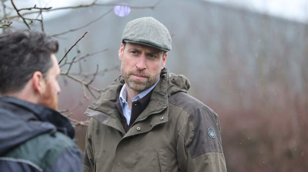 Соперничающий двор: принц Уильям опасается возвращения брата в Великобританию