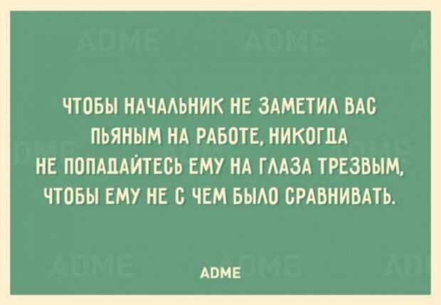 Самый лучший юмор – тот, что на злобу дня